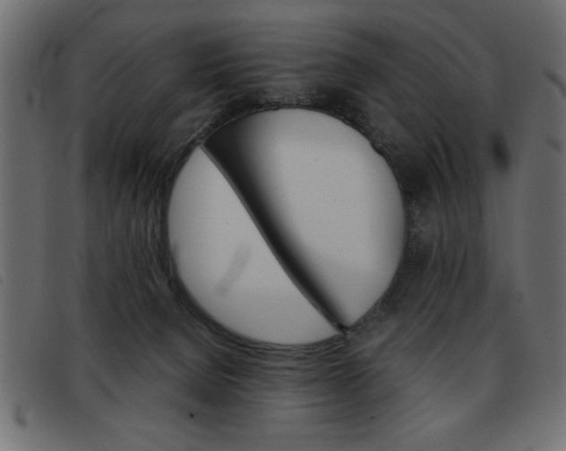 X0000093460080200710120959