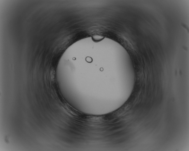 X0000093460081200710120959