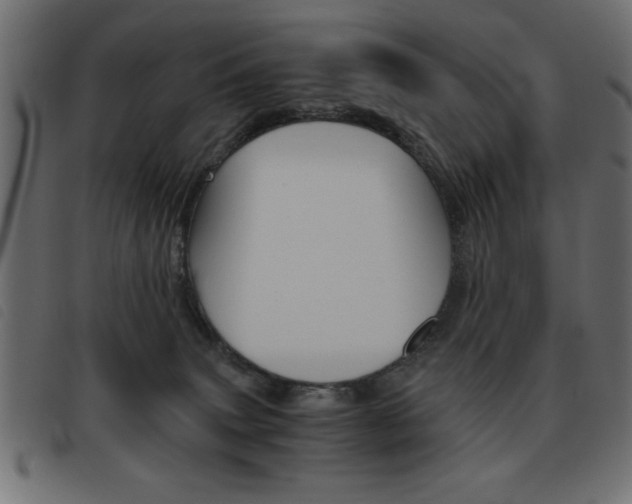 X0000093460083200710120959
