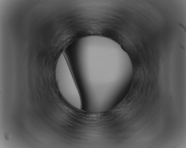 X0000093460084200710120959