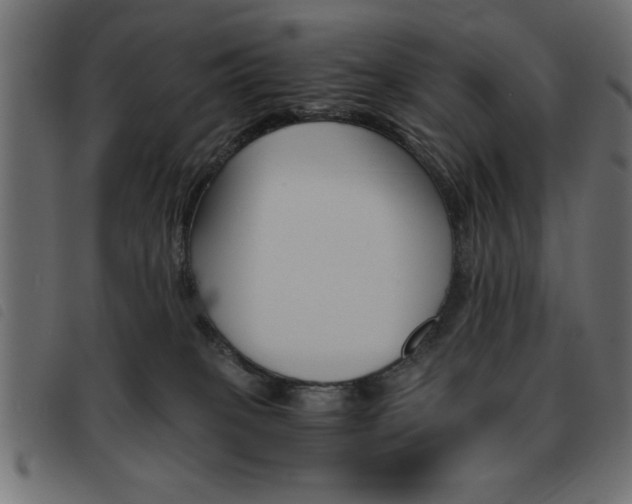 X0000093460085200710120959