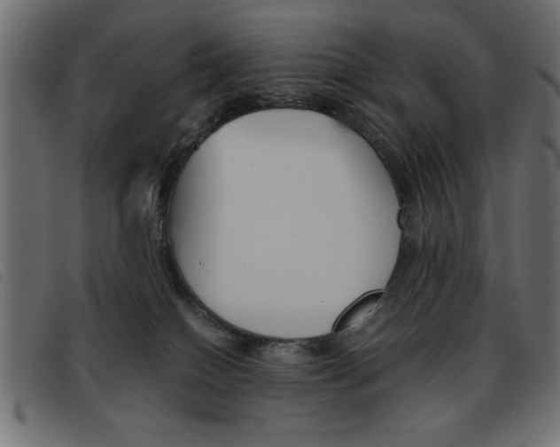X0000093460086200710120959
