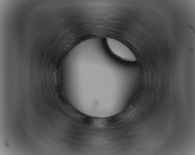 X0000093460088200710120959