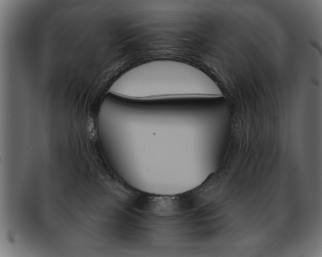 X0000093460089200710120959