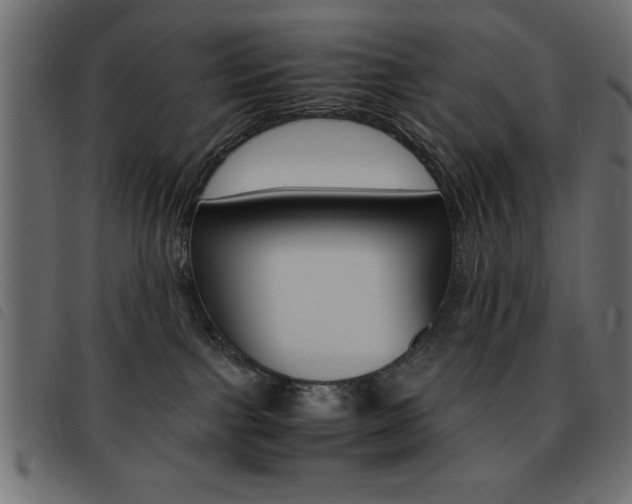 X0000093460091200710120959
