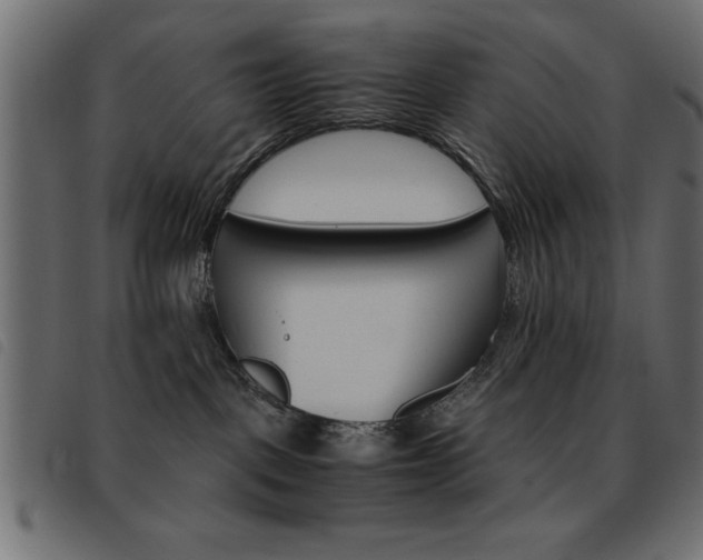 X0000093460093200710120959