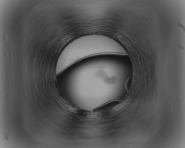 X0000093460096200710120959