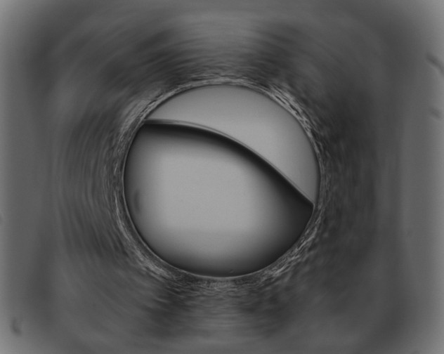 X0000093460097200710120958