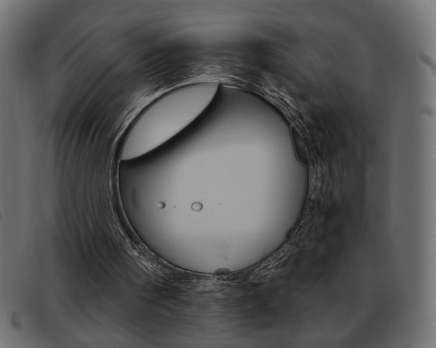 X0000093460098200710120958