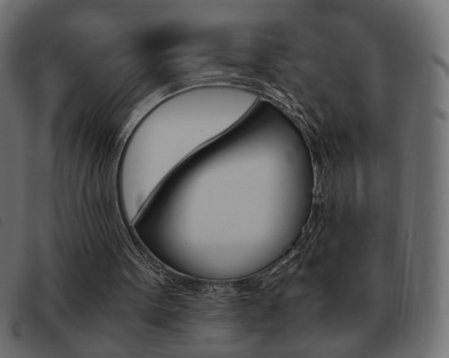 X0000093460099200710120958