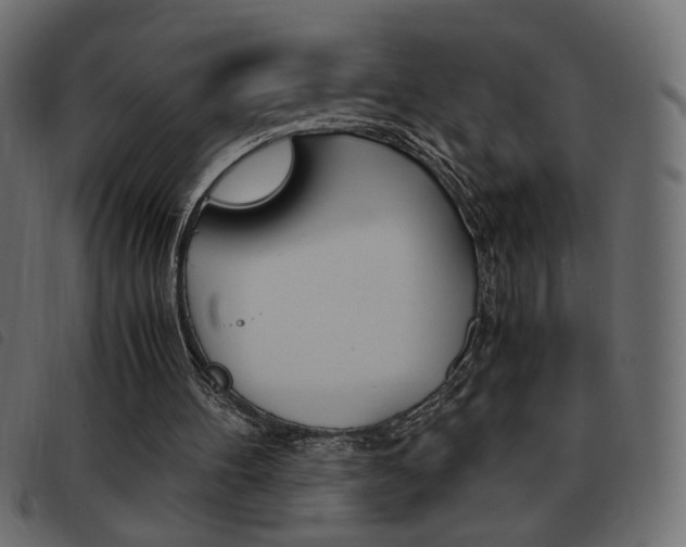 X0000093460100200710120958
