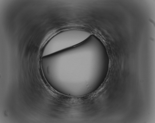 X0000093460101200710120958