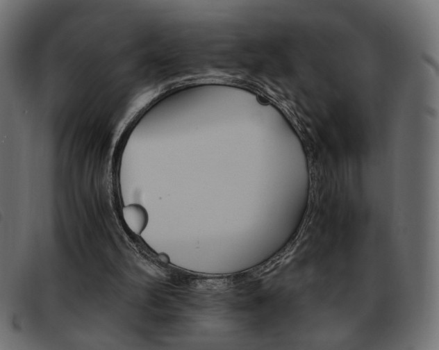 X0000093460102200710120958