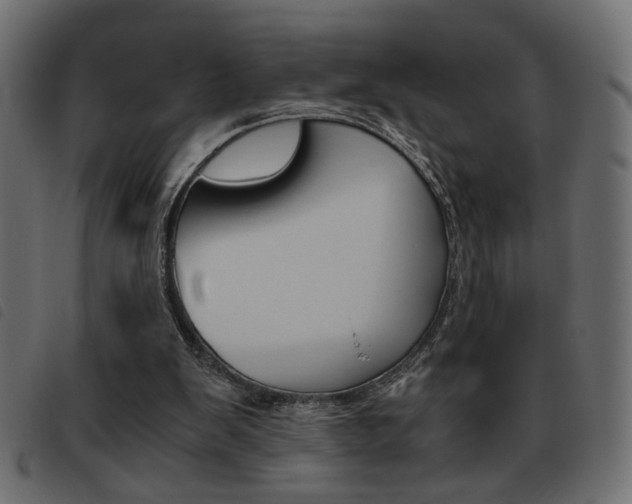 X0000093460103200710120958
