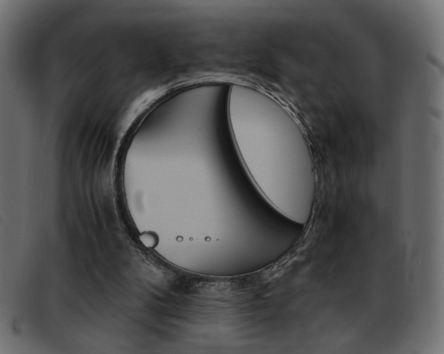 X0000093460104200710120958
