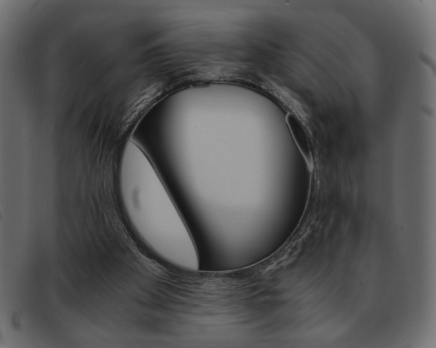 X0000093460105200710120958