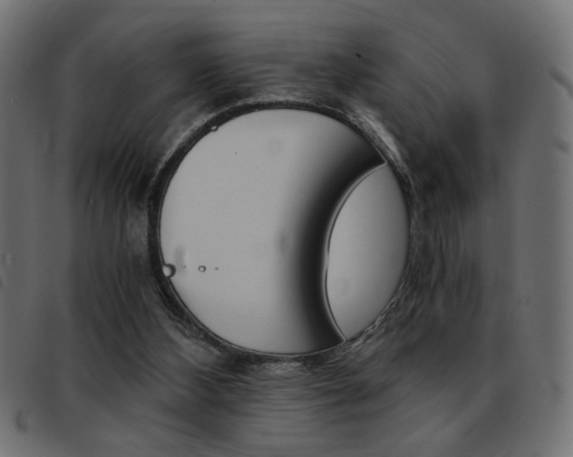 X0000093460108200710120958