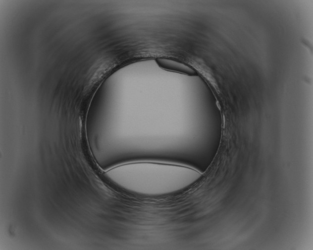 X0000093460109200710120958