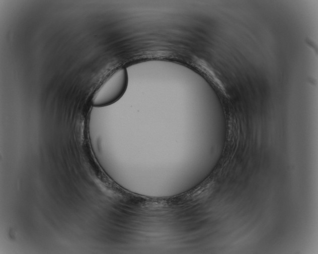 X0000093460110200710120958