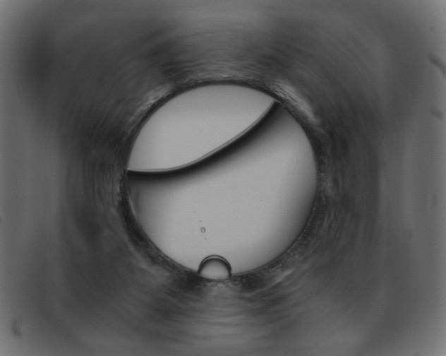 X0000093460115200710120958
