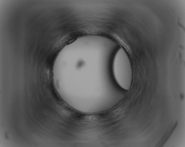 X0000093460117200710120958