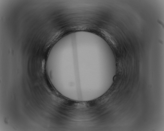 X0000093460118200710120958