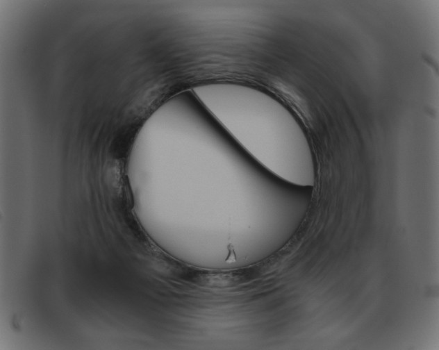 X0000093460121200710120958