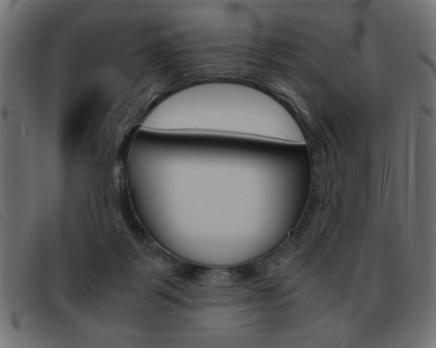 X0000093460123200710120958