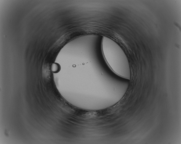 X0000093460124200710120958