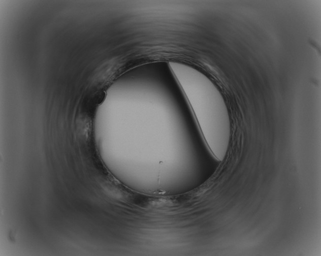 X0000093460125200710120958