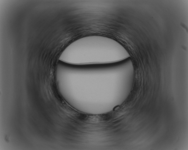 X0000093460127200710120958