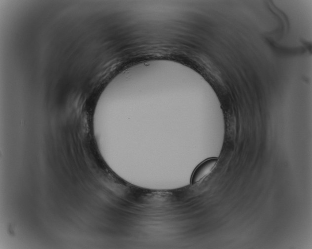 X0000093460128200710120958