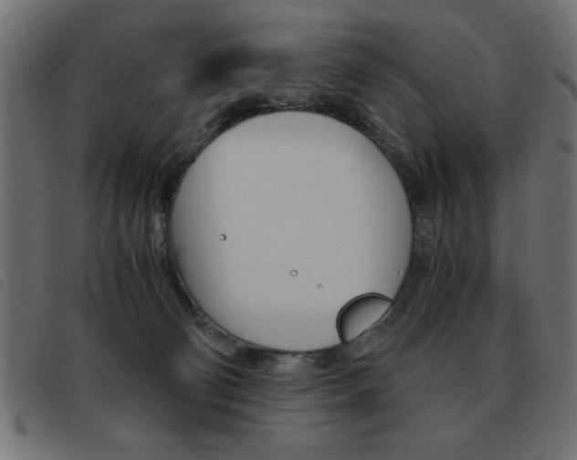X0000093460130200710120958