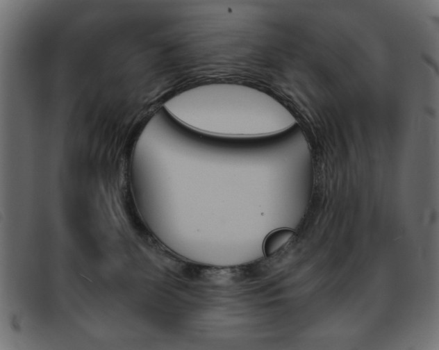X0000093460131200710120958