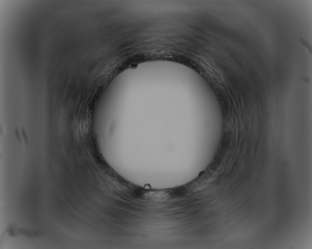 X0000093460133200710120958