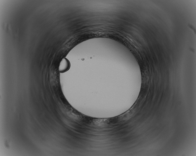 X0000093460136200710120958