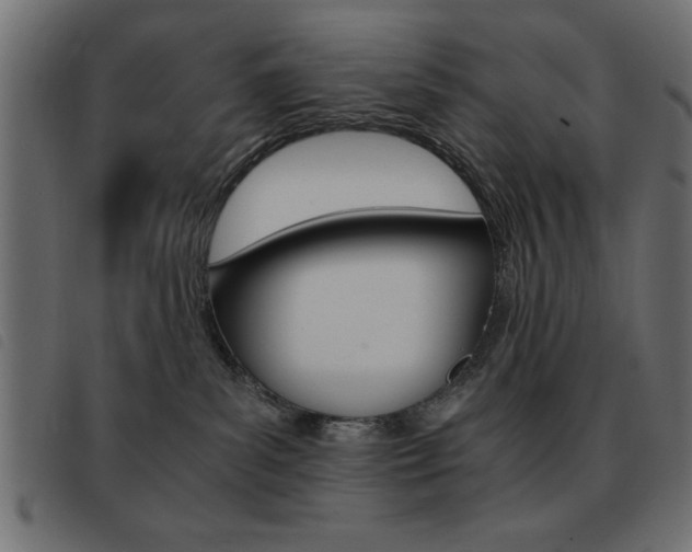 X0000093460139200710120958