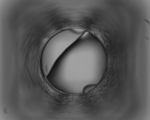 X0000093460145200710120957
