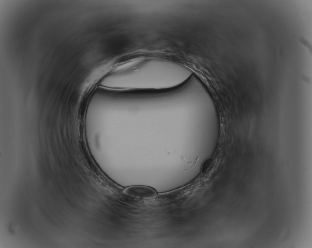 X0000093460149200710120957