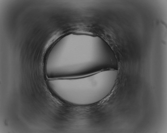 X0000093460150200710120957