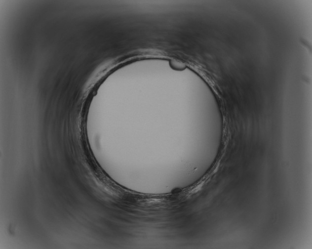 X0000093460151200710120957