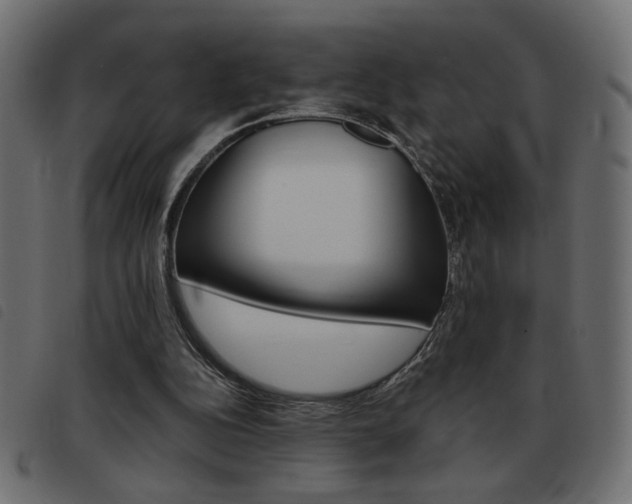 X0000093460152200710120957
