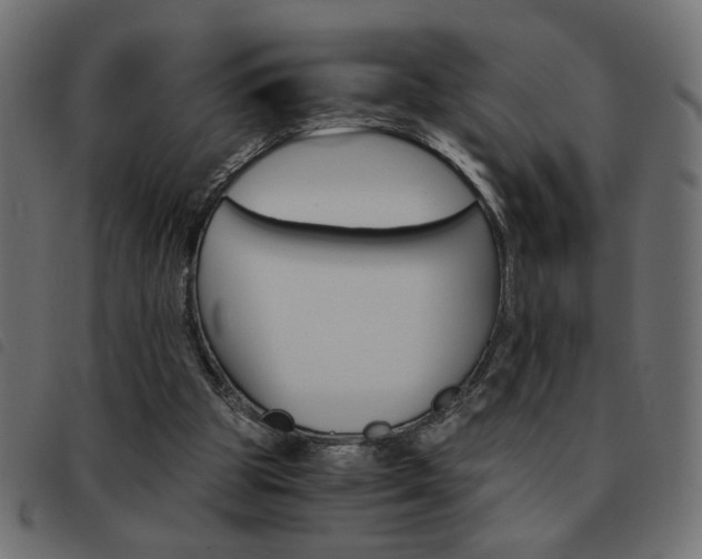 X0000093460153200710120957