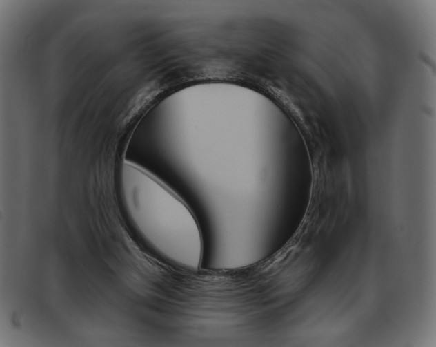 X0000093460154200710120957