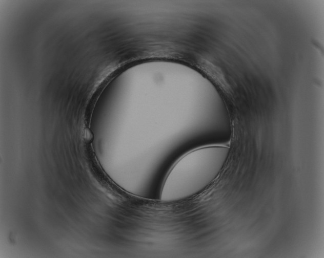 X0000093460156200710120957