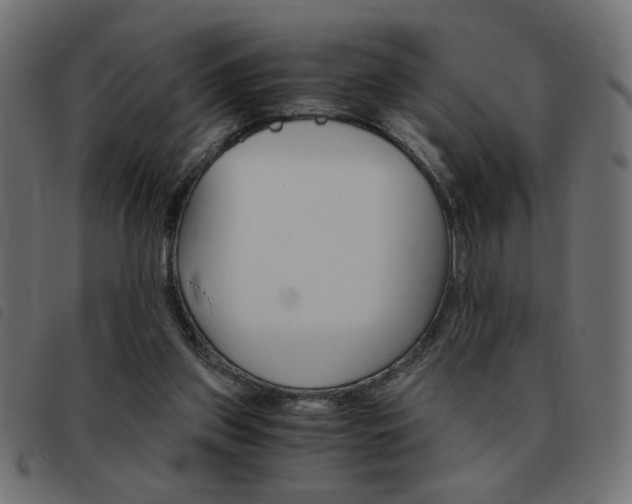 X0000093460157200710120957