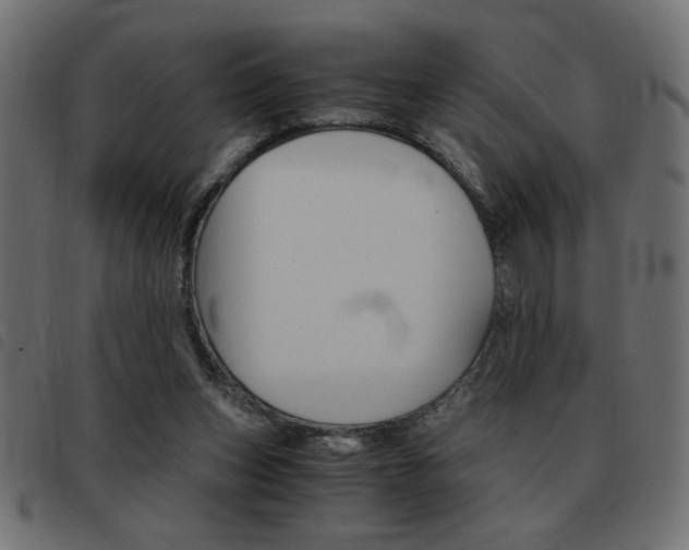 X0000093460159200710120957