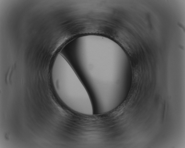 X0000093460160200710120957