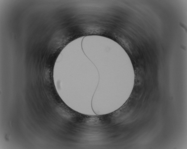 X0000093460162200710120957