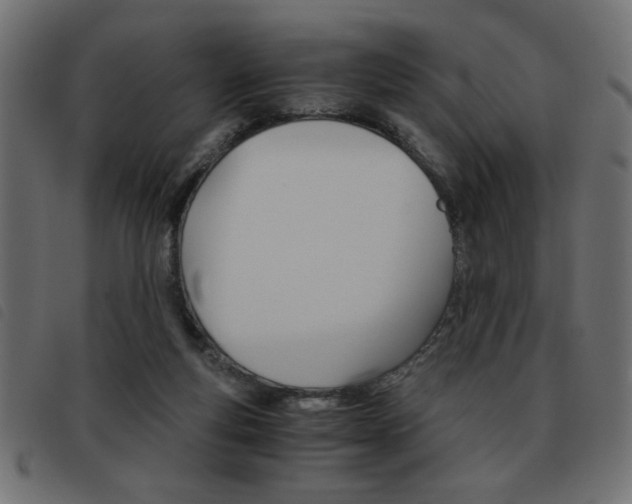 X0000093460163200710120957